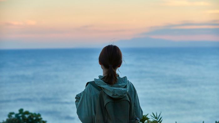 仕事に人生に違和感を感じはじめ、コーチングを受けてみようと思い始めている様子(ファインネットワールドTOPページの画像)